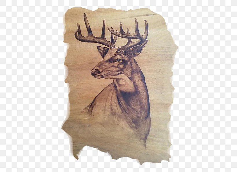 Elk Reindeer Drawing Pyrography Antler, PNG, 448x595px, Elk, Antler, Art, Deer, Drawing Download Free