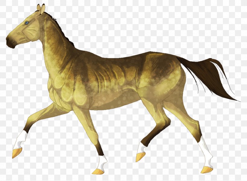 Mustang Stallion Foal Mare Akhal-Teke, PNG, 1044x766px, Mustang, Akhalteke, Animal Figure, Breed, Colt Download Free
