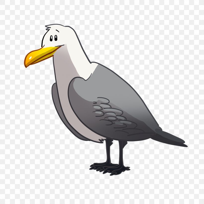 Beak Goose Cygnini Duck Bird, PNG, 1400x1400px, Beak, Anatidae, Bird, Charadriiformes, Cygnini Download Free
