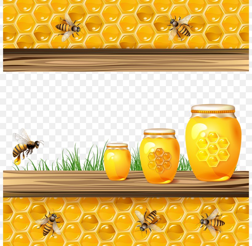 Bee Light Honeycomb Euclidean Vector Illustration, PNG, 800x800px, Bee, Beehive, Can Stock Photo, Citrus, Flower Download Free