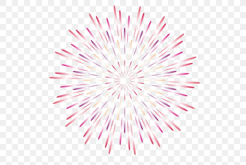 Fireworks Download, PNG, 550x550px, Fireworks, Chinese New Year, Flower, Gorgeous, Magenta Download Free