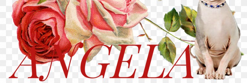 Garden Roses Floral Design Cut Flowers, PNG, 1008x340px, Garden Roses, Artificial Flower, Cut Flowers, Floral Design, Flores De Corte Download Free