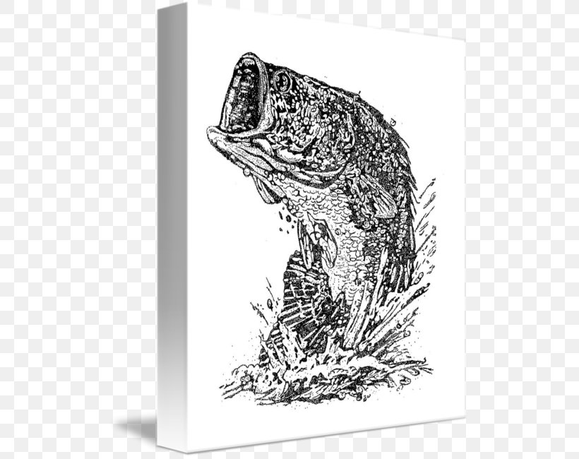 Sketch Cat Amphibians Illustration Fauna, PNG, 510x650px, Cat, Amphibian, Amphibians, Art, Big Cat Download Free