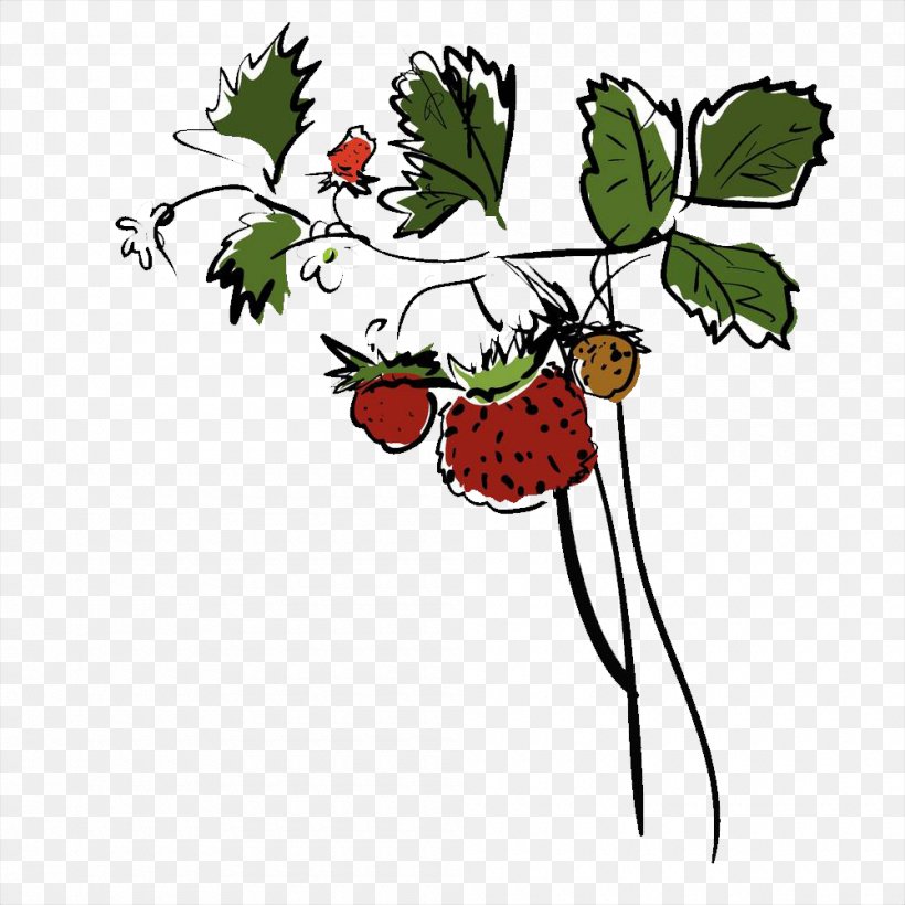 Strawberry Drawing, PNG, 1000x1000px, Strawberry, Art, Berry, Branch, Drawing Download Free