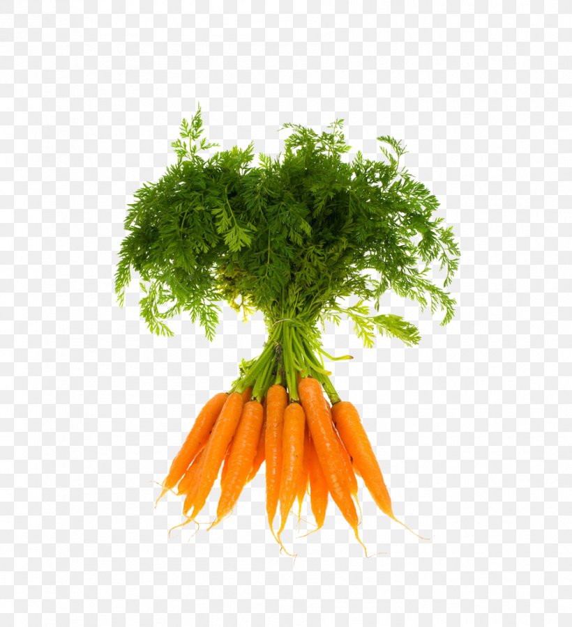 Vegetable Organic Food Fruit Carrot, PNG, 901x989px, Carrot, Alamy, Carotene, Food, Leaf Vegetable Download Free