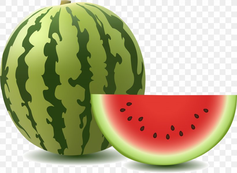 Watermelon Vector Graphics Image Clip Art Illustration, PNG, 3551x2599px, Watermelon, Citrullus, Cucumber Gourd And Melon Family, Diet Food, Food Download Free