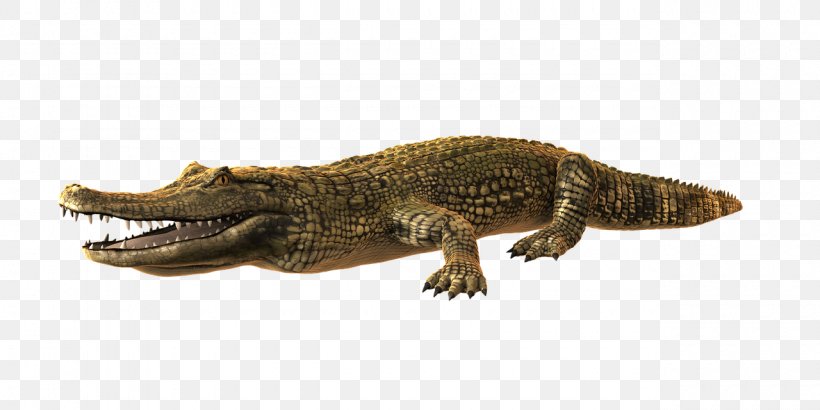 Crocodile Alligator, PNG, 1280x640px, Crocodile, Alligator, Animal Figure, Caiman, Crocodiles Download Free