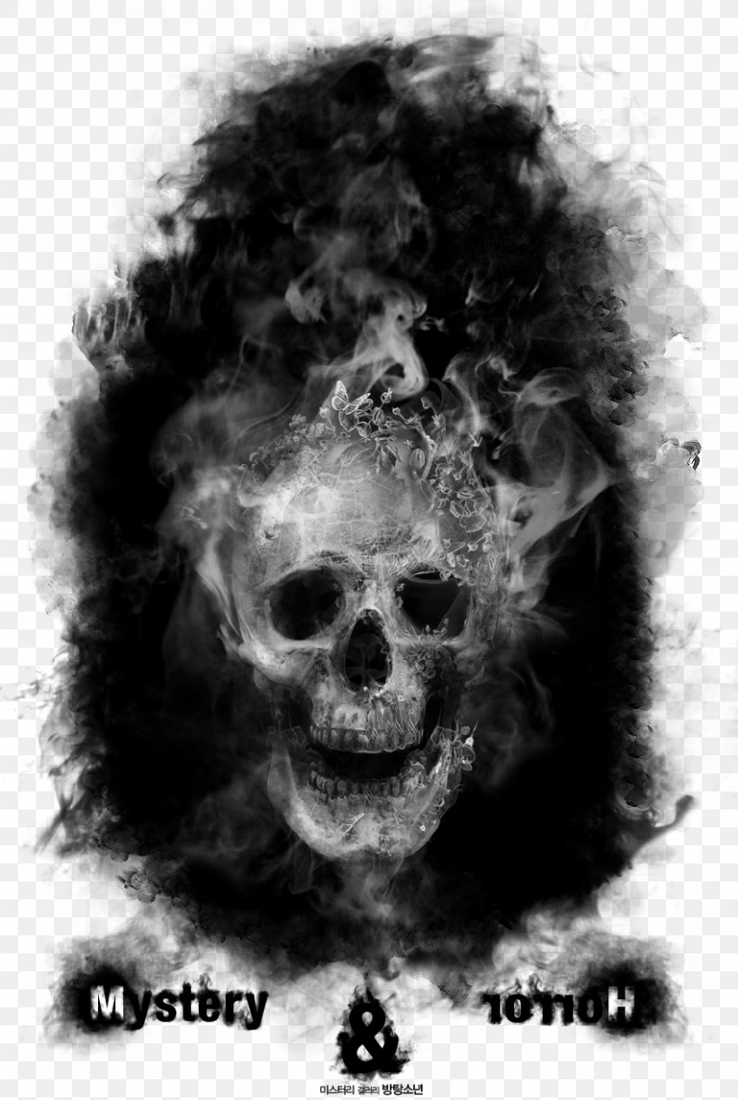 Crystal Skull Snout Out-of-place Artifact Jaw, PNG, 850x1268px, Skull, Black, Black And White, Bone, Computer Download Free