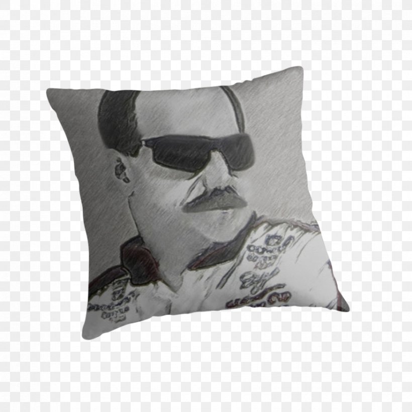 Cushion Throw Pillows, PNG, 875x875px, Cushion, Pillow, Throw Pillow, Throw Pillows Download Free