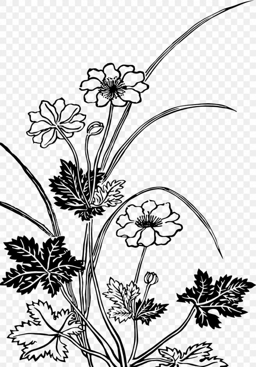 Flower Drawing Black And White Clip Art, PNG, 894x1280px, Flower, Art, Black And White, Botany, Branch Download Free