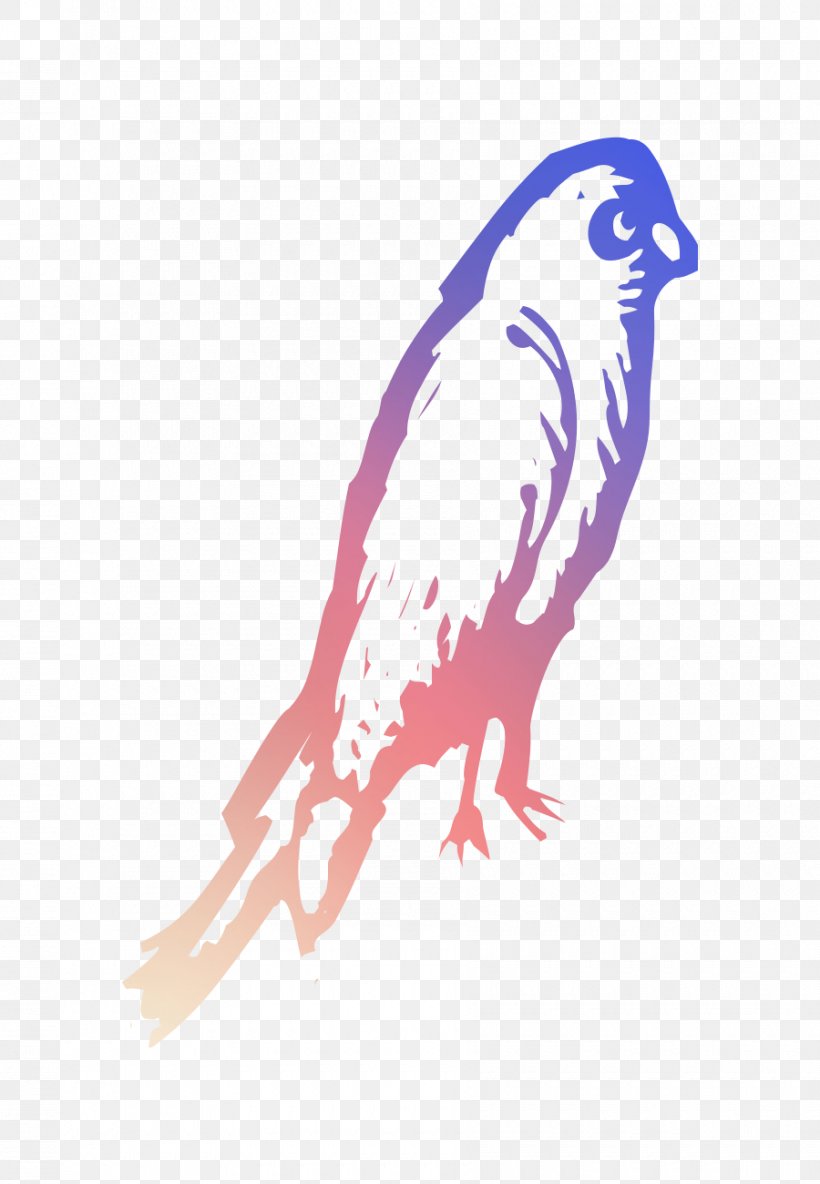 Owl Hawk Eagle Beak Feather, PNG, 900x1300px, Owl, Beak, Bird, Bird Of Prey, Drawing Download Free