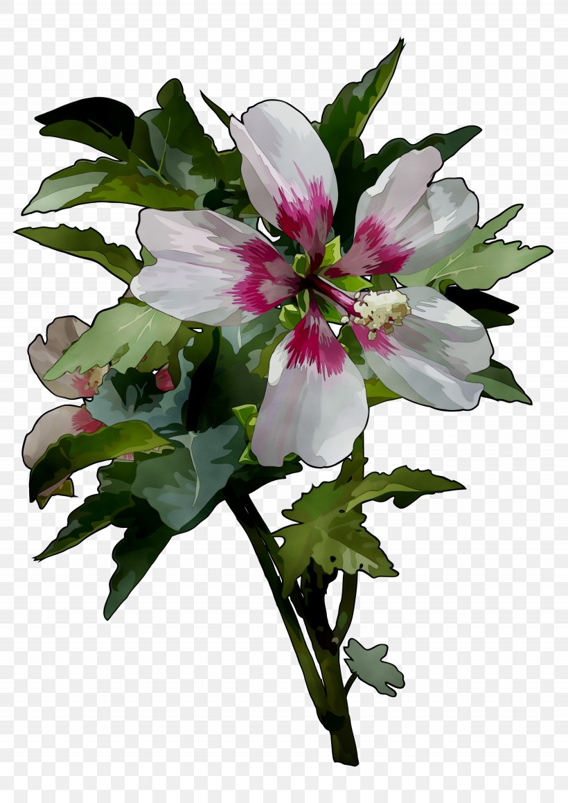 Annual Plant Herbaceous Plant Cut Flowers Plants, PNG, 3075x4349px, Annual Plant, Artificial Flower, Bouquet, Cut Flowers, Flower Download Free