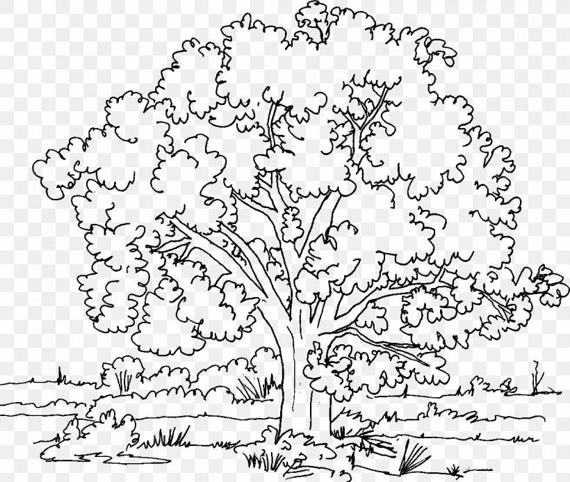 Coloring Book Tree Oak Adult, PNG, 1184x1001px, Coloring Book, Adult, Area, Arecaceae, Art Download Free