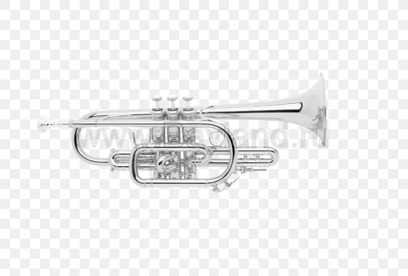 Cornet Trumpet Vincent Bach Corporation Brass Instruments Mellophone, PNG, 700x555px, Watercolor, Cartoon, Flower, Frame, Heart Download Free