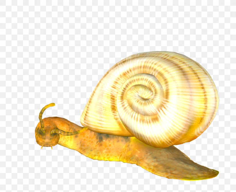 Gastropods Snail Slug Clip Art, PNG, 900x731px, Gastropods, Animal, Art, Artist, Deviantart Download Free
