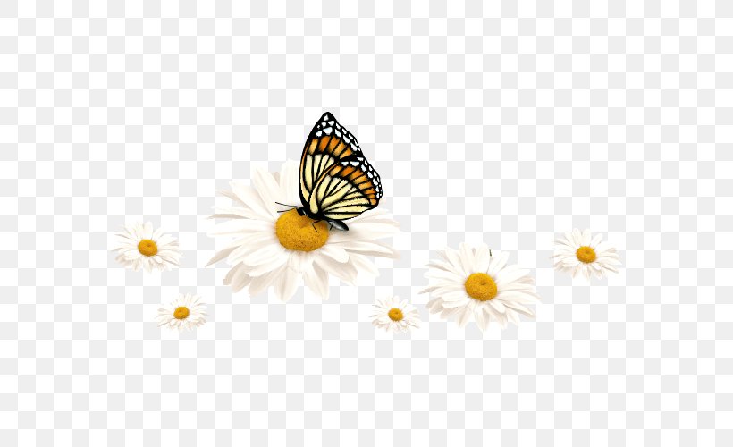 Monarch Butterfly Window Pieridae Polyvinyl Chloride, PNG, 600x500px, Monarch Butterfly, Arthropod, Brush Footed Butterfly, Brushfooted Butterflies, Butterfly Download Free