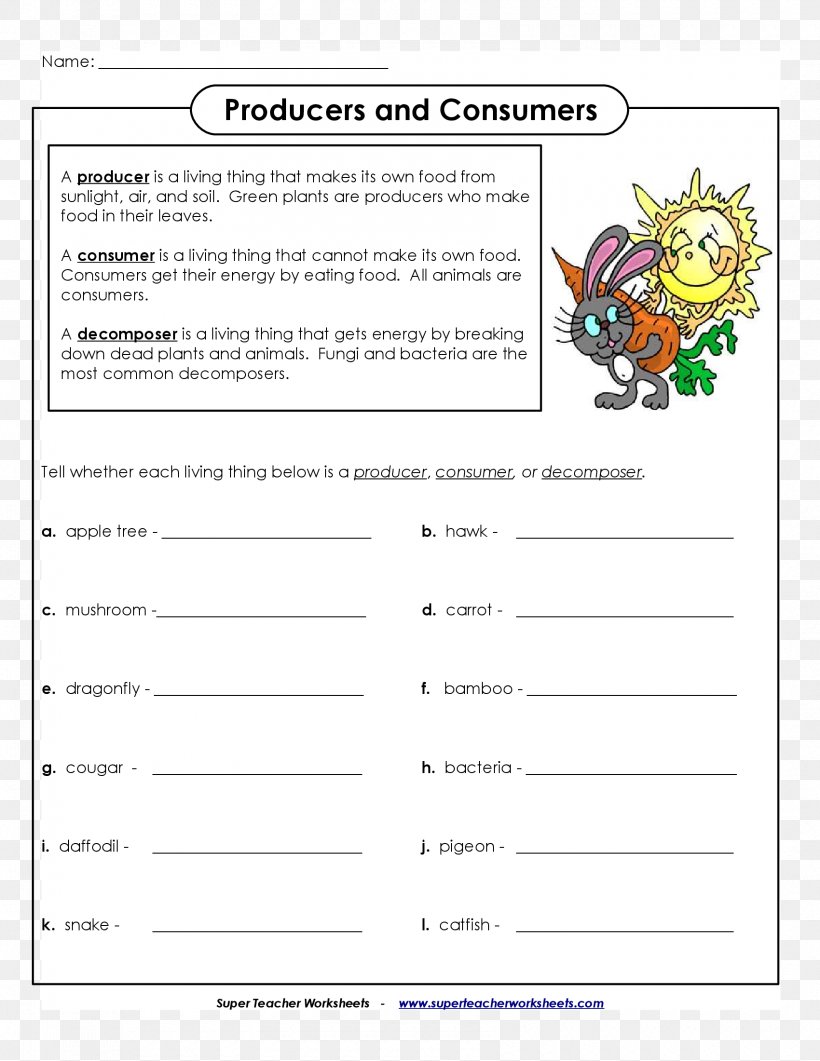 Primary Producers Consumer Decomposer Food Chain Worksheet, PNG, 1700x2200px, Primary Producers, Area, Biology, Cell, Consumer Download Free