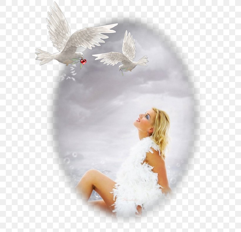 Thought Meditation Truth 0 1, PNG, 614x792px, 2016, 2017, Thought, Angel, Feather Download Free