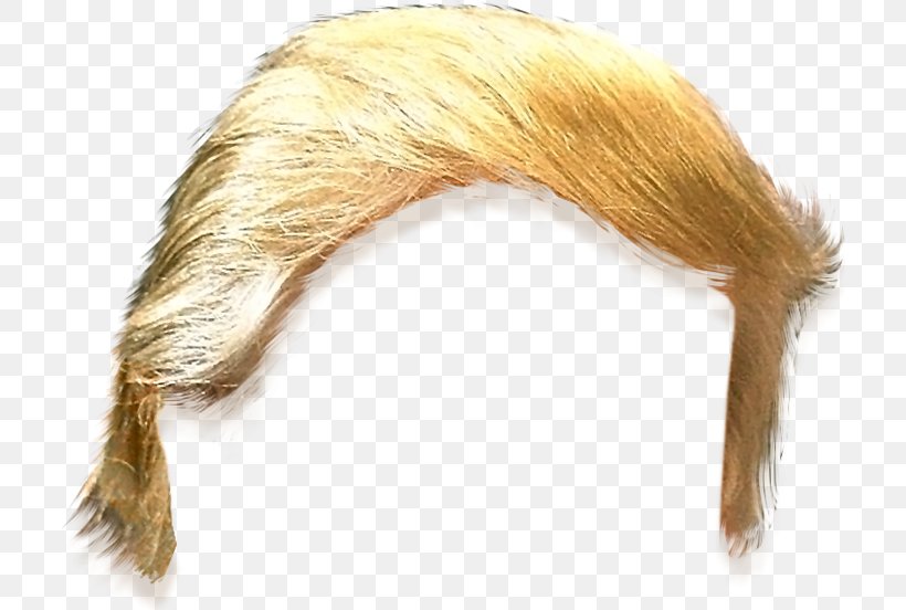 United States Trump Hair Clip Art, PNG, 710x552px, United States, Blue Hair, Donald Trump, Fur, Hair Download Free