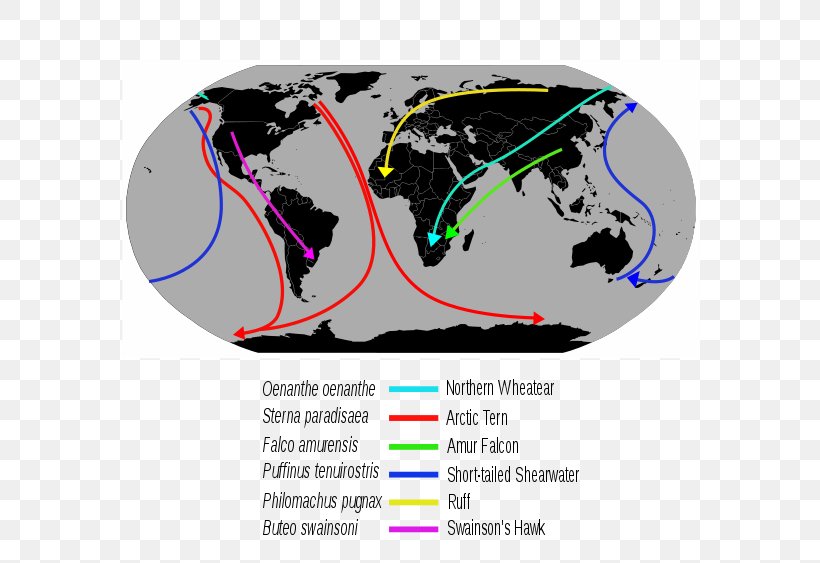 World Map The World Political, PNG, 600x563px, World, Atlas, Border, Brand, Country Download Free