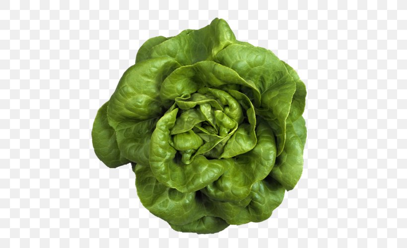 Butterhead Lettuce Leaf Vegetable Romaine Lettuce Salad, PNG, 500x500px, Butterhead Lettuce, Chinese Broccoli, Crop, Cruciferous Vegetables, Food Download Free