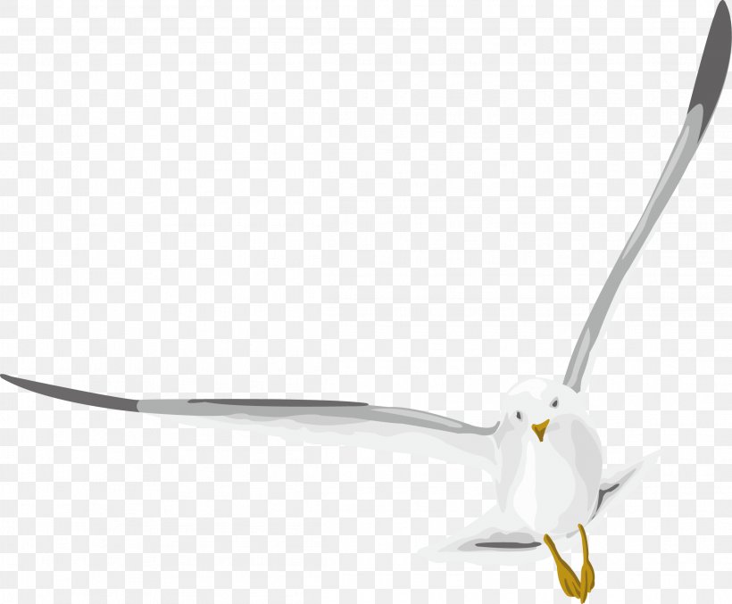 Designer, PNG, 2297x1897px, Designer, Beak, Bird, Common Gull, Technology Download Free