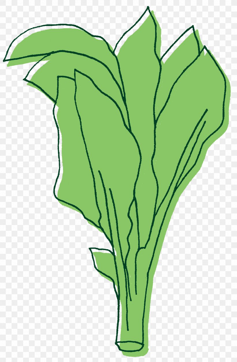 Leaf Illustration Clip Art Rotisserie Chicken Greens, PNG, 1283x1964px, Leaf, Artwork, Chicken As Food, Flower, Flowering Plant Download Free
