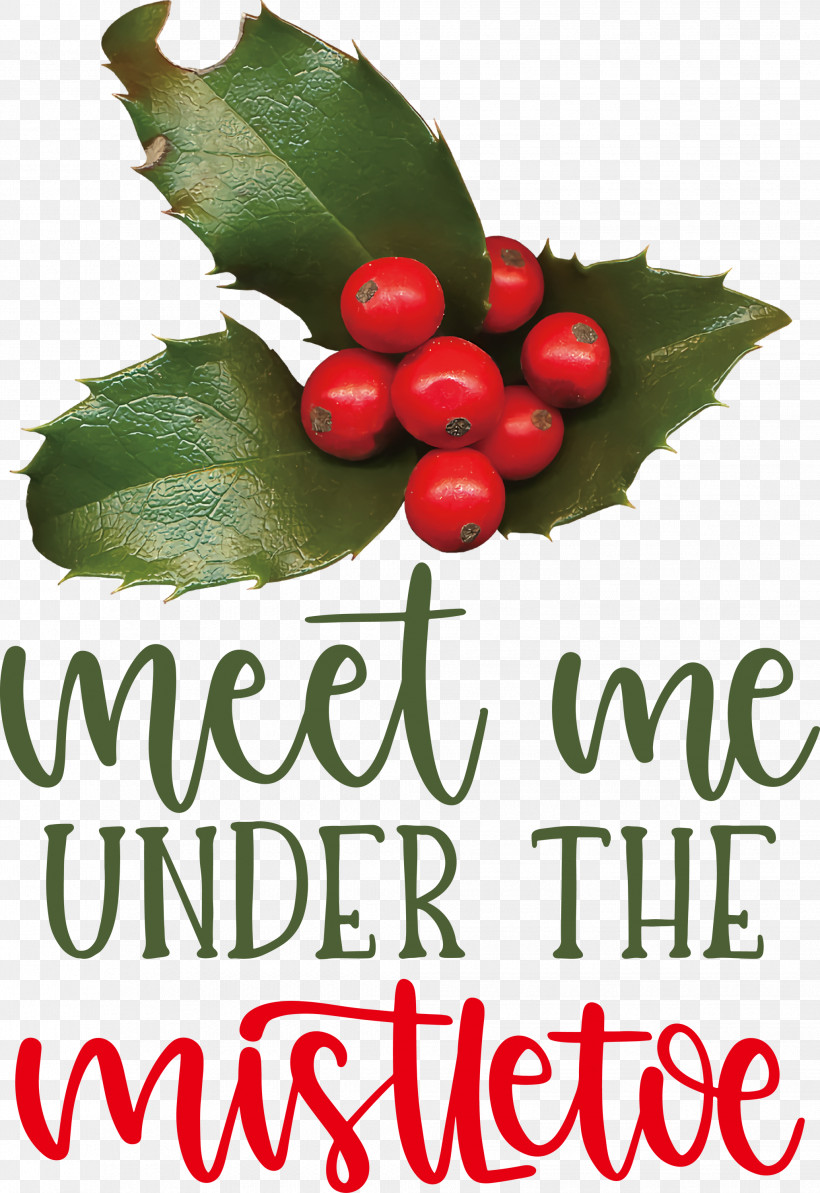 Meet Me Under The Mistletoe Mistletoe, PNG, 2062x3000px, Mistletoe, Aquifoliaceae, Aquifoliales, Fruit, Holly Download Free