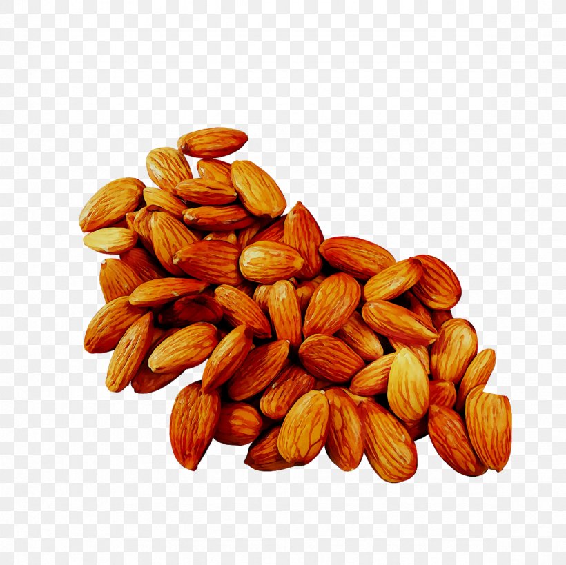 Peanut Dried Fruit Commodity, PNG, 2362x2362px, Nut, Almond, Apricot Kernel, Commodity, Cuisine Download Free