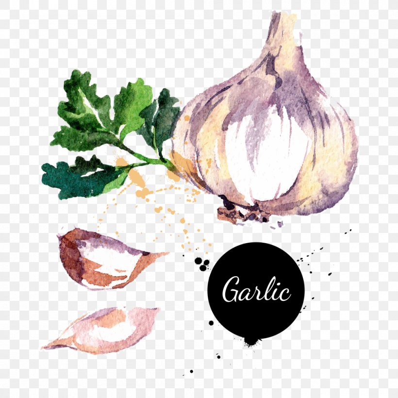 Potato Onion Chili Con Carne Garlic Vegetable, PNG, 1000x1000px, Garlic, Art, Depositphotos, Drawing, Food Download Free