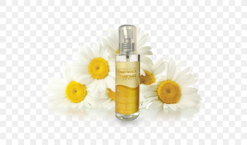 Roman Chamomile Herbal Distillate Oil German Chamomile, PNG, 640x480px, Roman Chamomile, Antiinflammatory, Argan Oil, Chamomile, Cosmetics Download Free