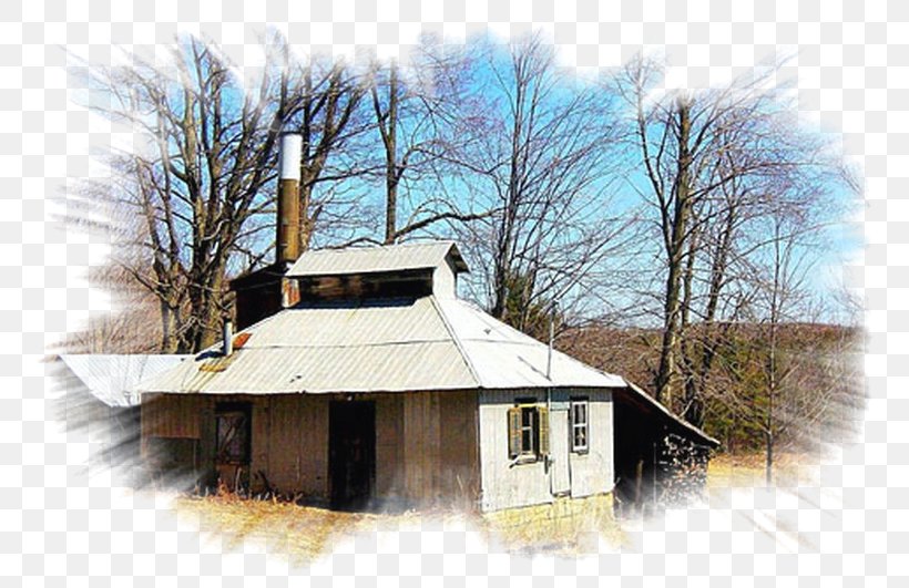 Sugar Shack House Property Roof Cabane, PNG, 800x531px, Sugar Shack, Barn, Building, Cabane, Cottage Download Free