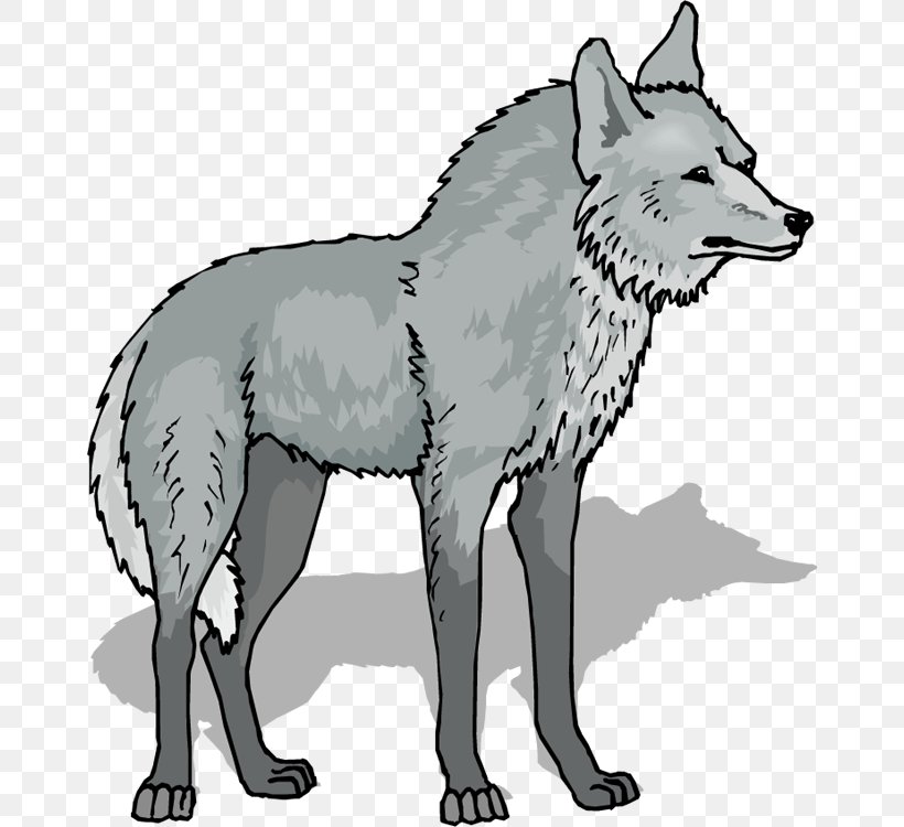 Gray Wolf Clip Art, PNG, 662x750px, Gray Wolf, Black And White, Black Wolf, Carnivoran, Dog Like Mammal Download Free