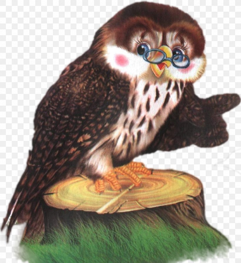 Little Owl Bird Of Prey Odnoklassniki, PNG, 1116x1220px, Owl, Beak, Bird, Bird Of Prey, Falcon Download Free