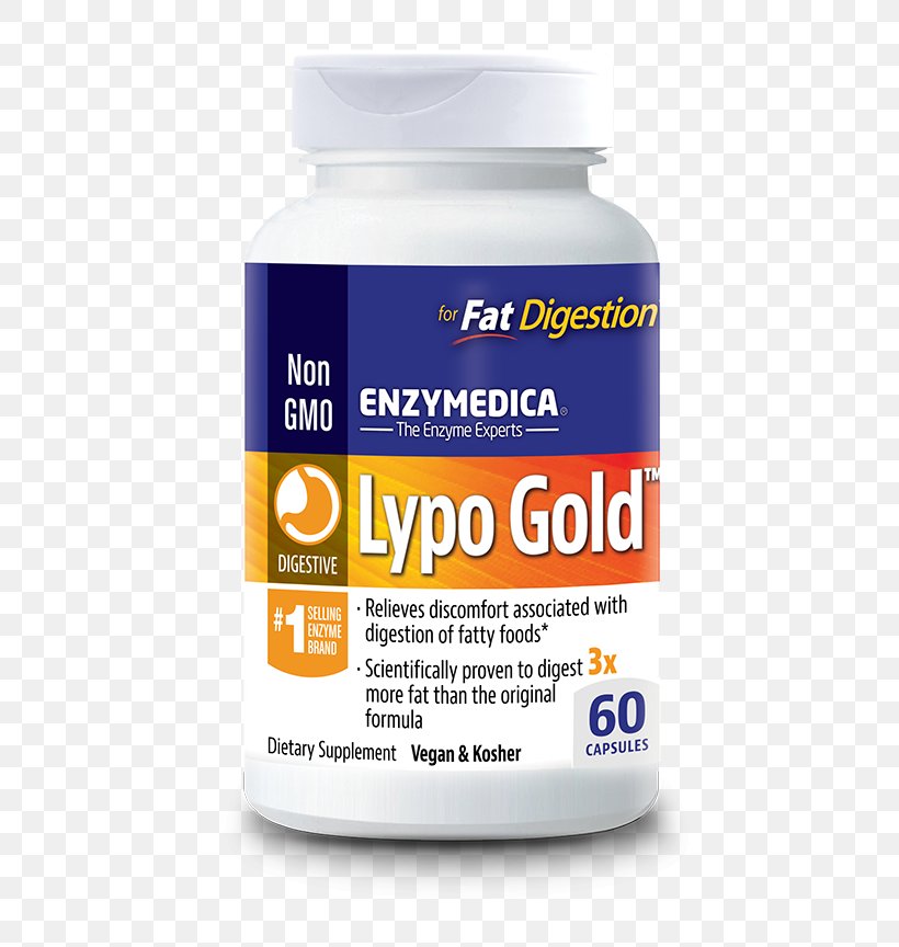 Dietary Supplement Digestion Lipase Digestive Enzyme, PNG, 537x864px, Dietary Supplement, Amylase, Capsule, Digestion, Digestive Enzyme Download Free
