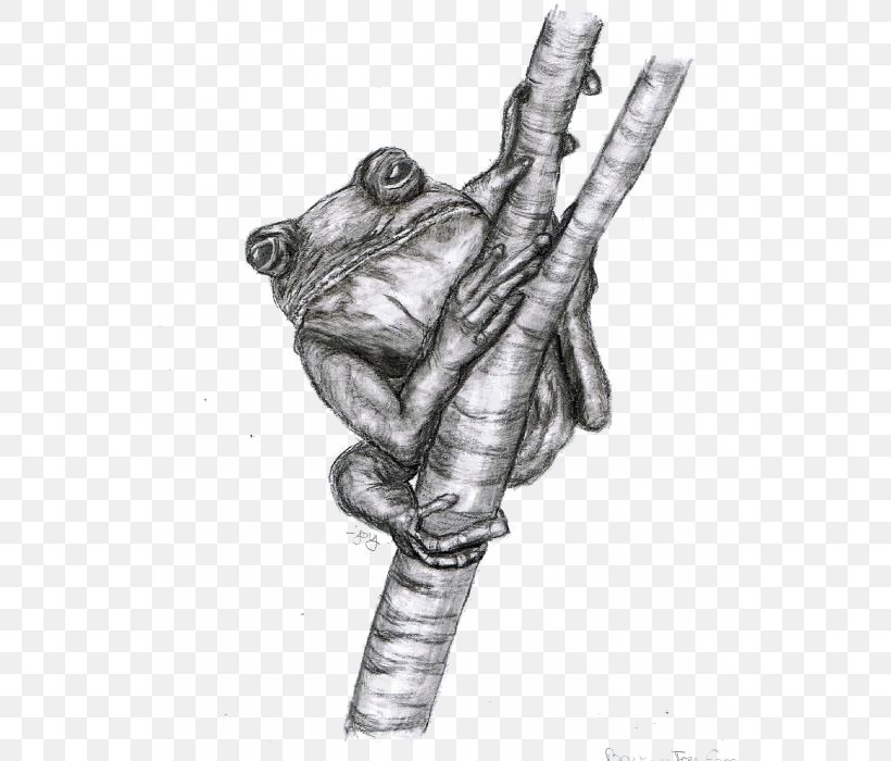 Frog Black And White Drawing Toad Sketch, PNG, 550x700px, Frog, Arm, Art, Black And White, Cartoon Download Free