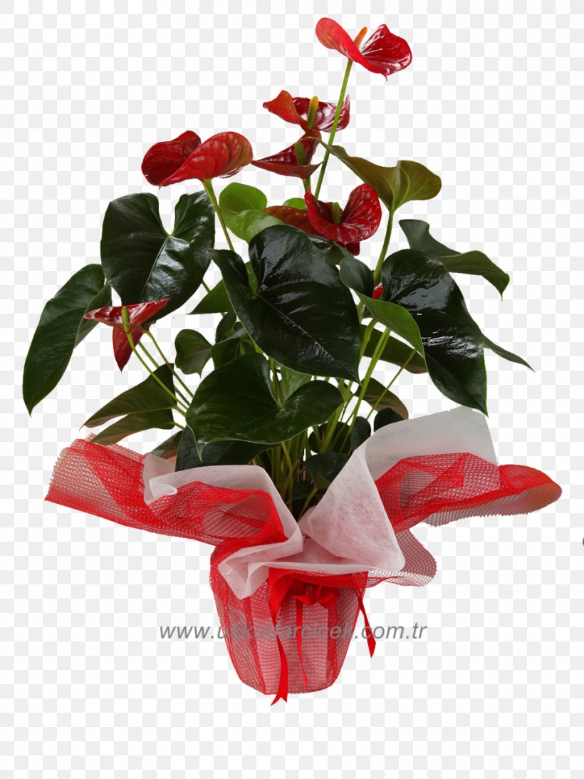 Garden Roses Flowerpot Red Floristry, PNG, 960x1280px, Garden Roses, Artificial Flower, Arumlily, Blue, Cut Flowers Download Free