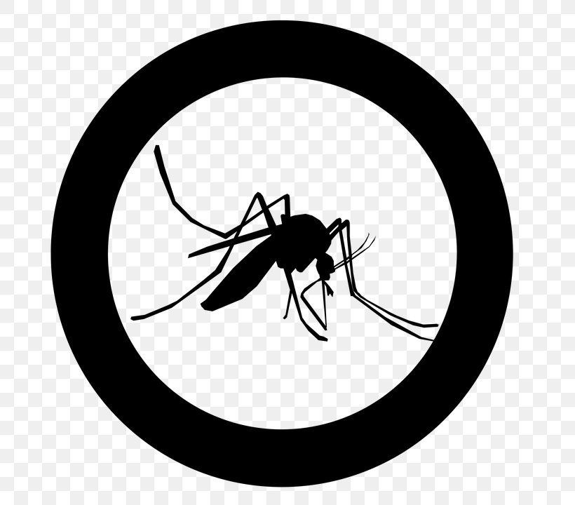 Mosquito Control Guadeloupe Health Care, PNG, 720x720px, Mosquito, Arthropod, Blackandwhite, Chikungunya Virus Infection, Dengue Fever Download Free