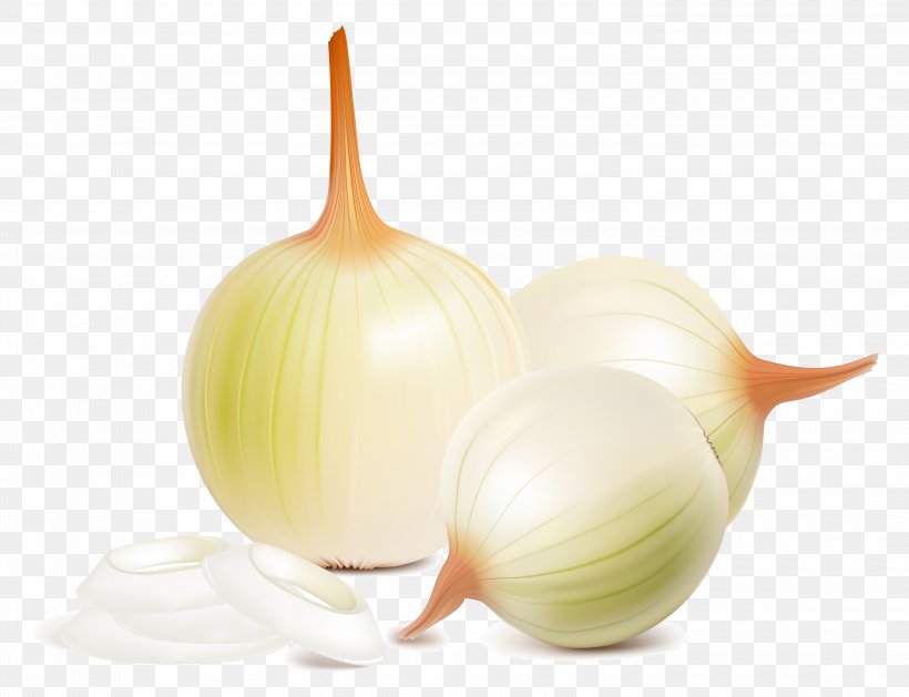 Red Onion Vegetable Parsley, PNG, 3000x2303px, Onion, Allium Fistulosum, Bulb, Elephant Garlic, Food Download Free