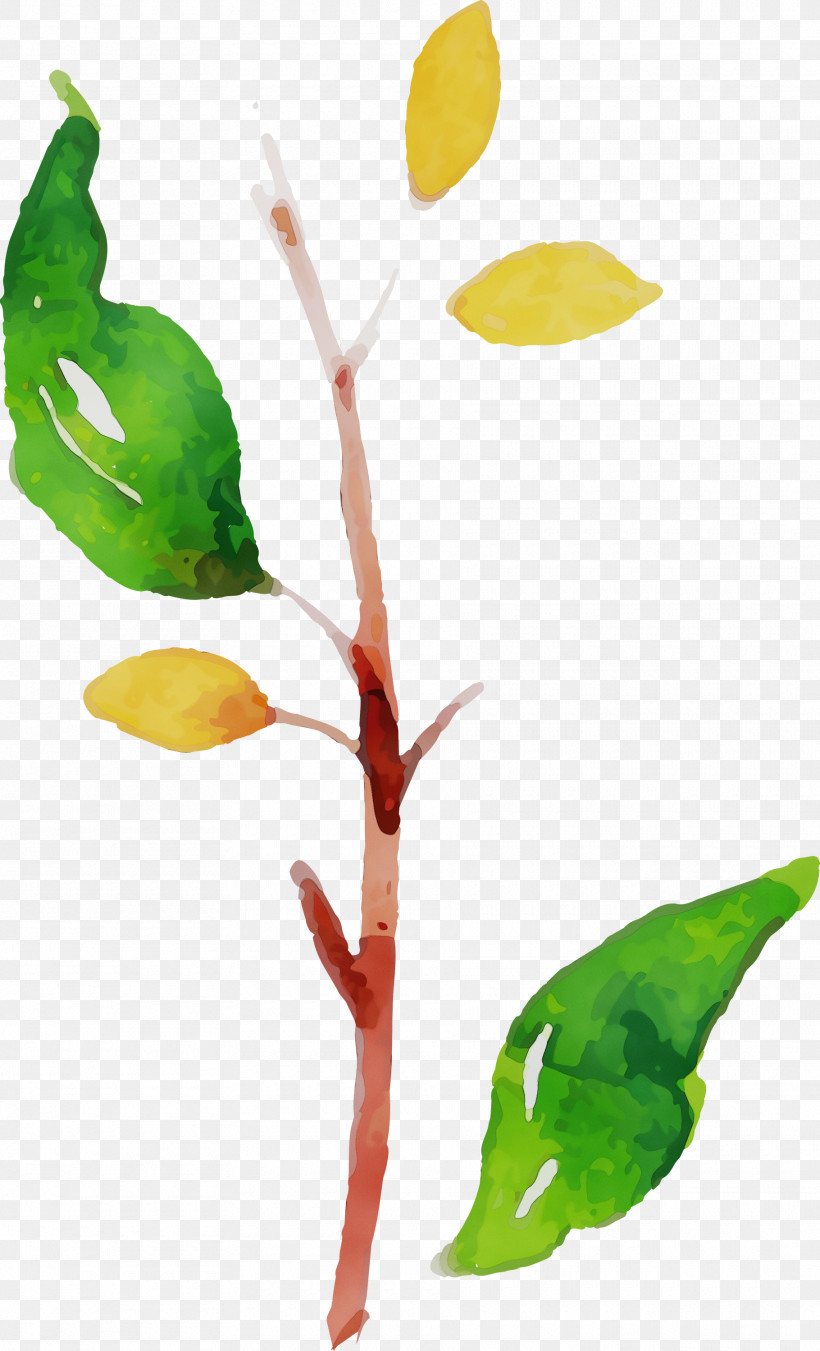 Leaf Plant Stem Petal Flower Branch, PNG, 1820x2999px, Watercolor Autumn, Biology, Branch, Drawing, Flower Download Free