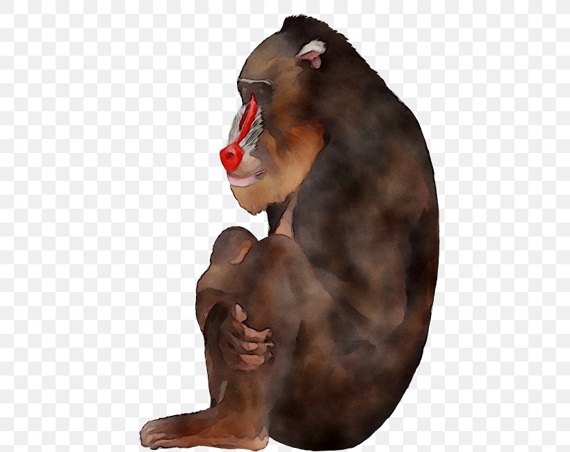 Wall Decal Baboons Mural Sticker, PNG, 447x650px, Wall Decal, Animal, Animation, Art, Baboons Download Free