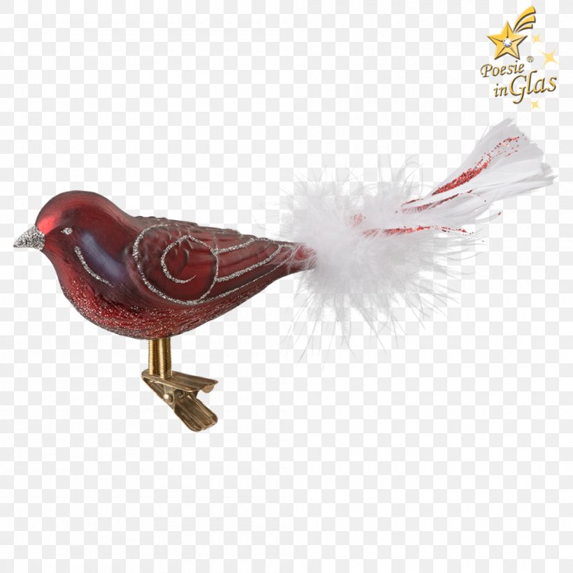 Feather Beak, PNG, 1000x1000px, Feather, Beak, Bird, Wing Download Free