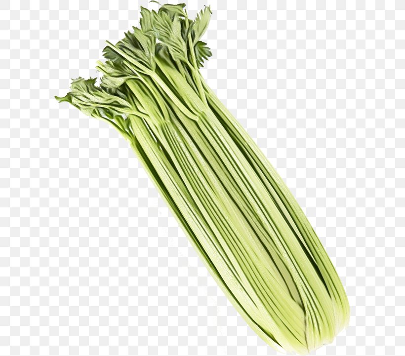 Onion Cartoon, PNG, 600x721px, Welsh Onion, Bok Choi, Celery, Chard, Choy Sum Download Free