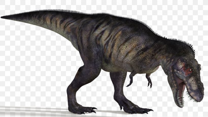 Albertosaurus Bistahieversor Strange Battle Royale 3D Super Ball DZ Edmontosaurus, PNG, 900x506px, Albertosaurus, Android, Animal Figure, Bistahieversor, Dinosaur Download Free