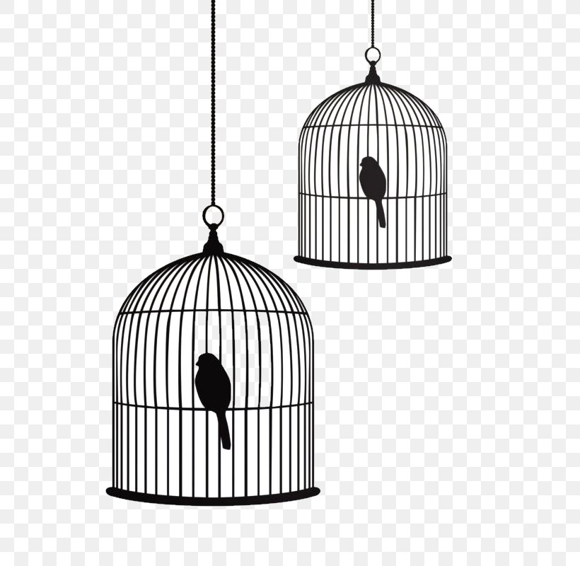 Birdcage Stencil Drawing, PNG, 600x800px, Bird, Aviary, Bird Houses, Bird Supply, Birdcage Download Free