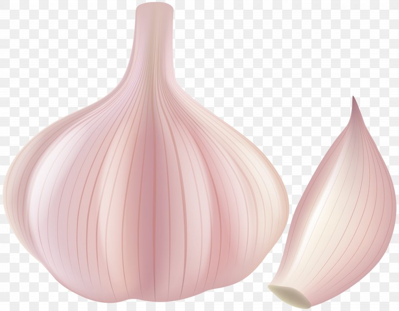 Garlic Shallot Clip Art, PNG, 8000x6236px, Garlic, Condiment, Food, Ingredient, Onion Download Free
