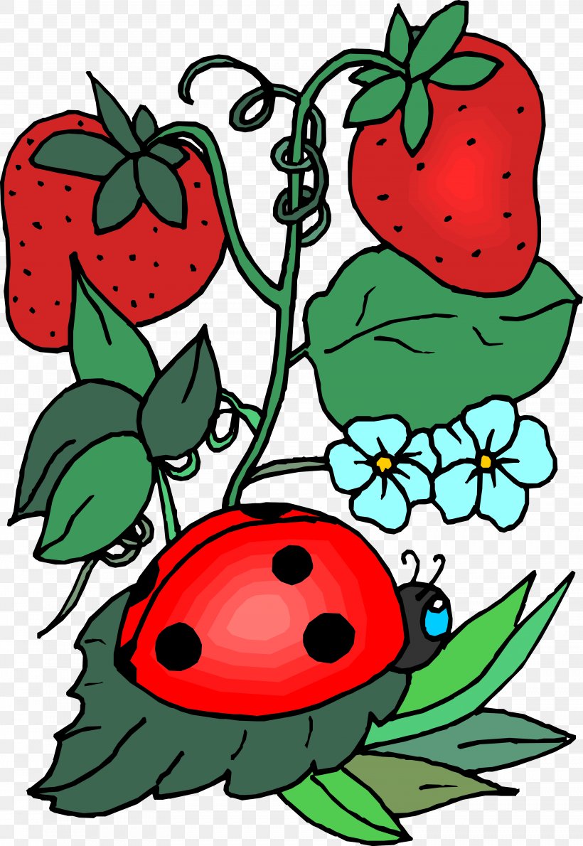 Insect Ladybird Bee Clip Art, PNG, 3526x5118px, Insect, Apple, Artwork, Bee, Description Download Free