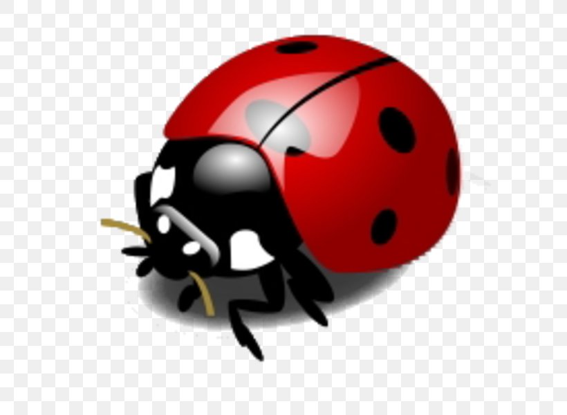 Ladybird Beetle Clip Art Image, PNG, 600x600px, Beetle, Arthropod, Bicycle Helmet, Drawing, Information Download Free