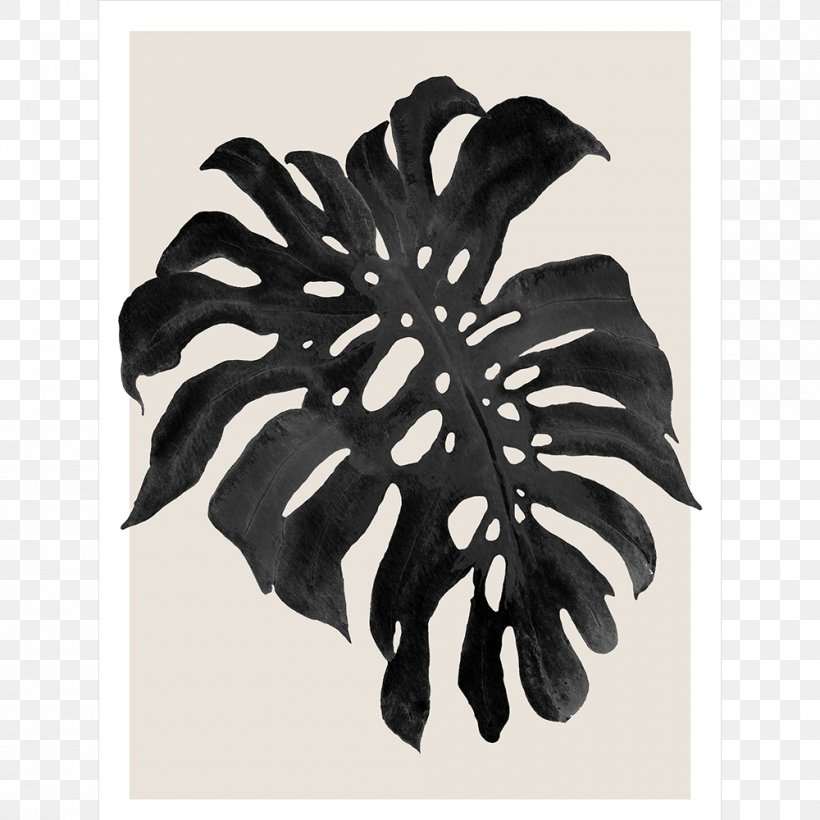 Swiss Cheese Plant Art Philodendron Canvas Print Vine, PNG, 1000x1000px, Swiss Cheese Plant, Art, Black And White, Blue, Canvas Download Free