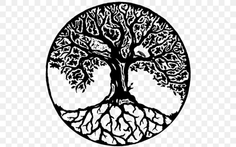Drawing Photography Tree Of Life, PNG, 512x512px, Drawing, Area, Art, Black And White, Branch Download Free